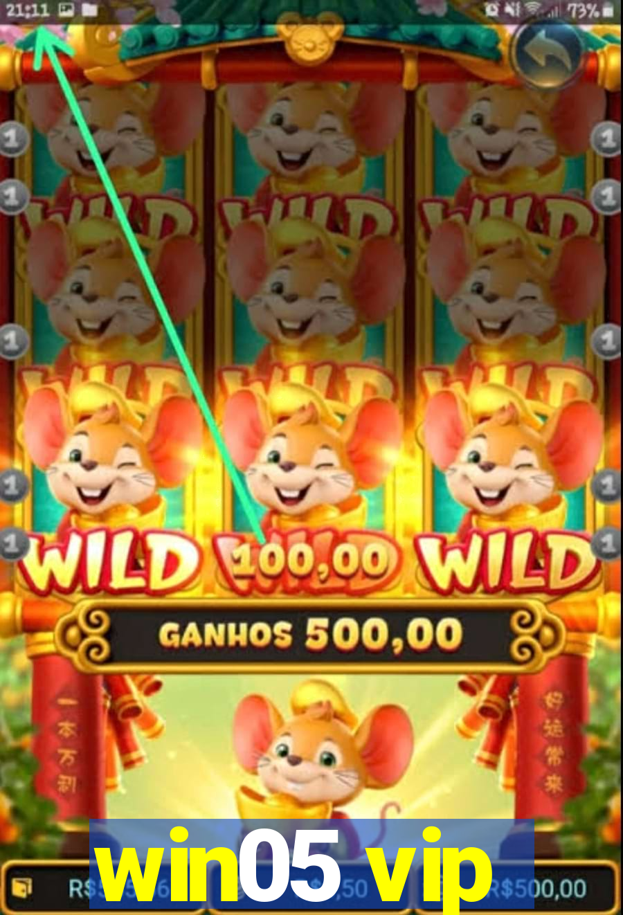 win05 vip